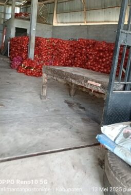 berita-rekomendasi-foto