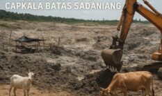 berita-pilihan-foto